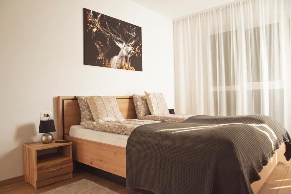 5 Dream Apartment 5 Cu Parcare Privata Oradea Exteriör bild