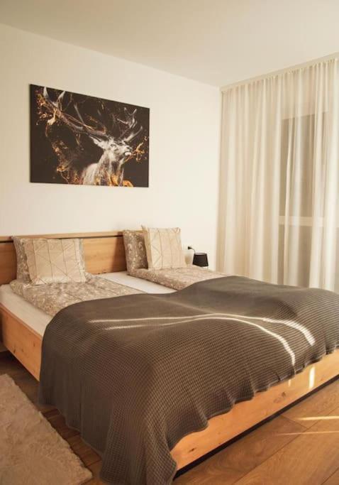5 Dream Apartment 5 Cu Parcare Privata Oradea Exteriör bild