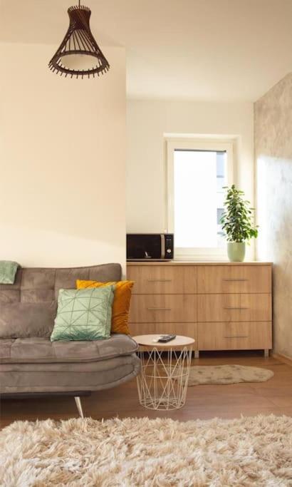 5 Dream Apartment 5 Cu Parcare Privata Oradea Exteriör bild